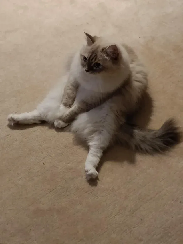 «Почему мы вообще существуем».