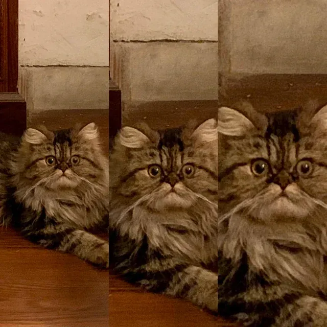 «Кризис усиливается с каждой секундой».