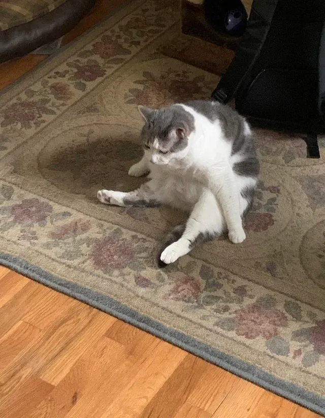 «Когда жизнь ударила тебя».