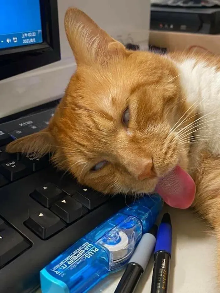 Обновление системы.