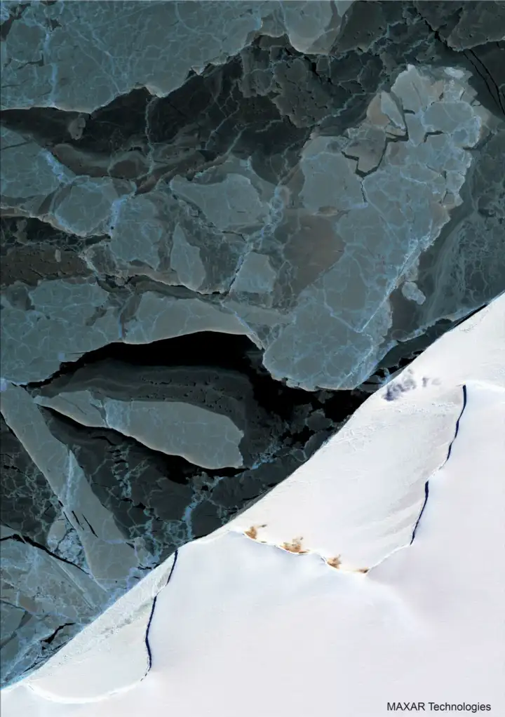 Спутниковый снимок колонии императорских пингвинов.