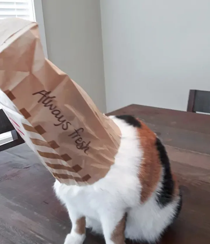 «Мы видим это практически каждый день».