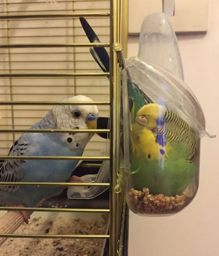 «Мне здесь удобно. Не обращайте внимания».