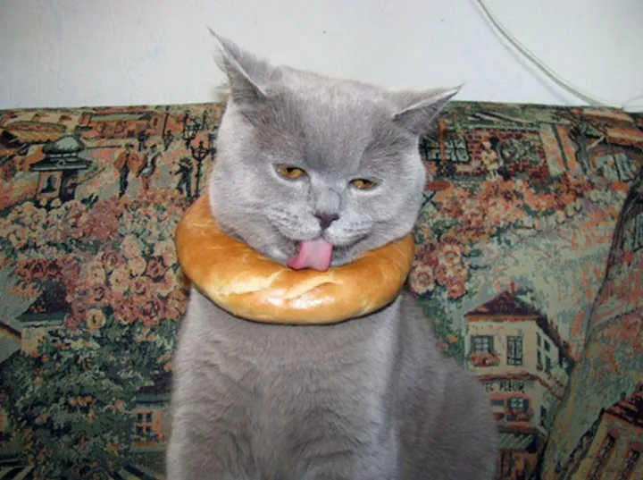 «Я просто съем его и освобожусь».