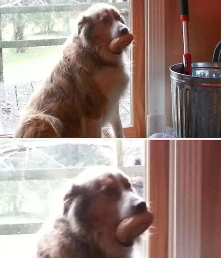 «Не могу съесть, но и бросать не буду».