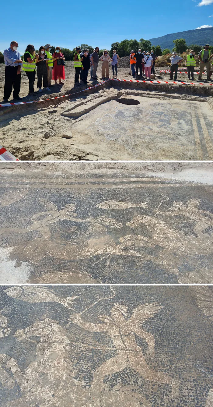 Археологи на севере Испании случайно обнаружили 2000-летний римский город, полностью затерянный в истории.