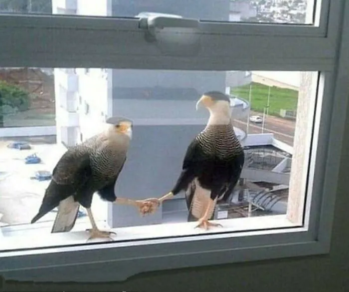 Сделка состоялась.