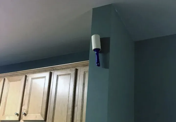 Оказывается, ролик для чистки одежды не нуждается в особом месте для хранения. Он же липкий. Удачно хранится везде, куда кинешь. 