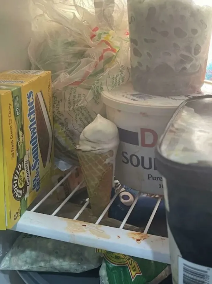 А почему бы и нет… Никто ведь не знает, зачем полки в холодильнике в виде решетки. Возможно, именно для того, чтобы держать мороженое. 