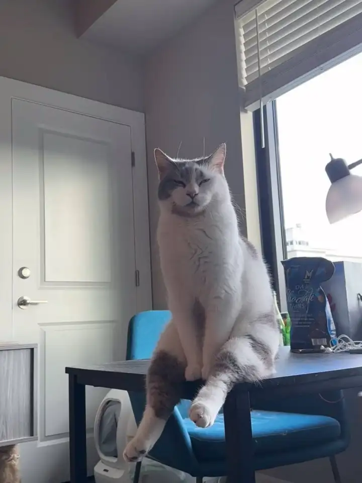 В Сети согласились с тем, что у мужчин действительно есть такая 