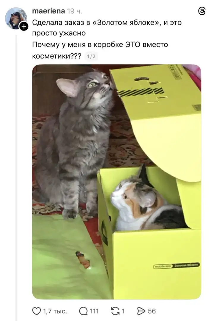 Девушка пожаловалась на ошибку в заказе из 