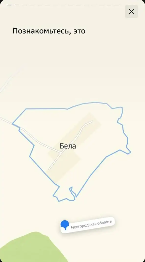 Познакомьтесь, это - Бела.