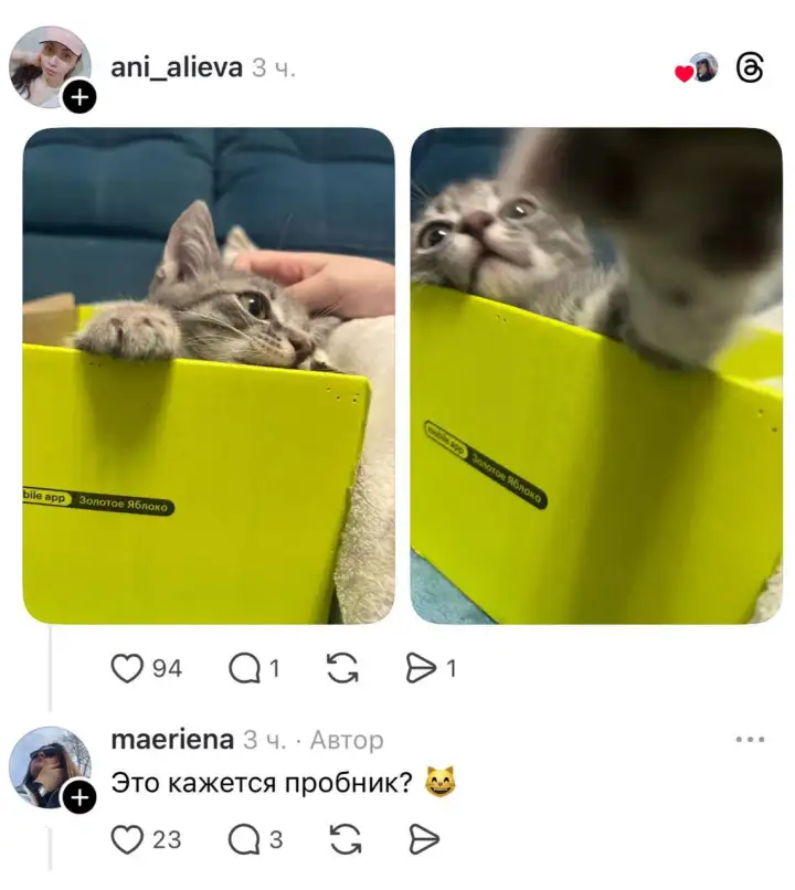 В Сети к ней присоединились и другие 