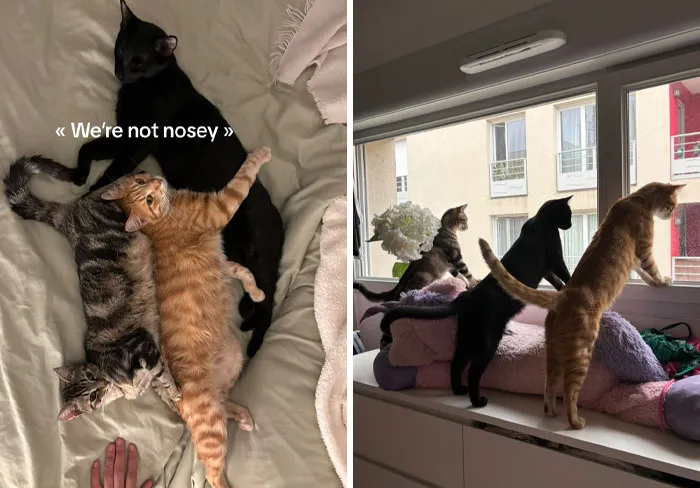 «Ого, что это там внизу?»