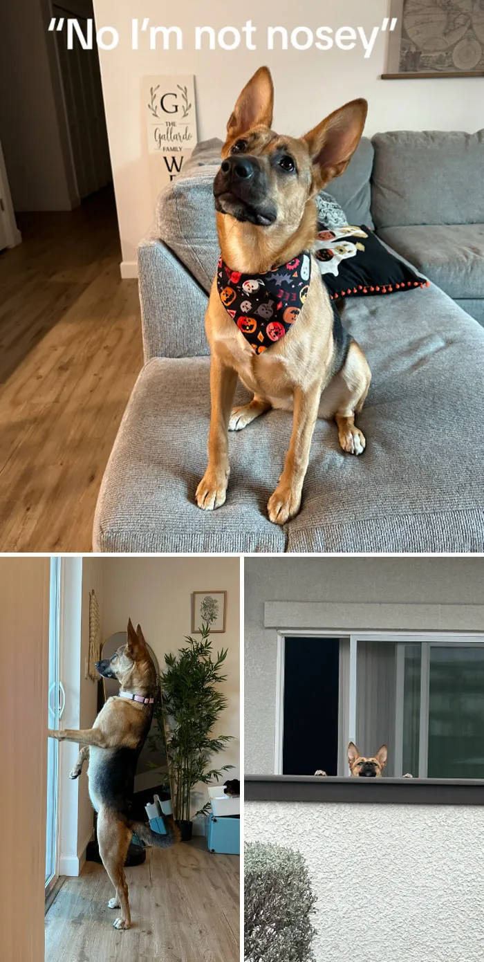 Интересненько.