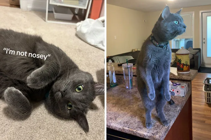 «Что там творится?»