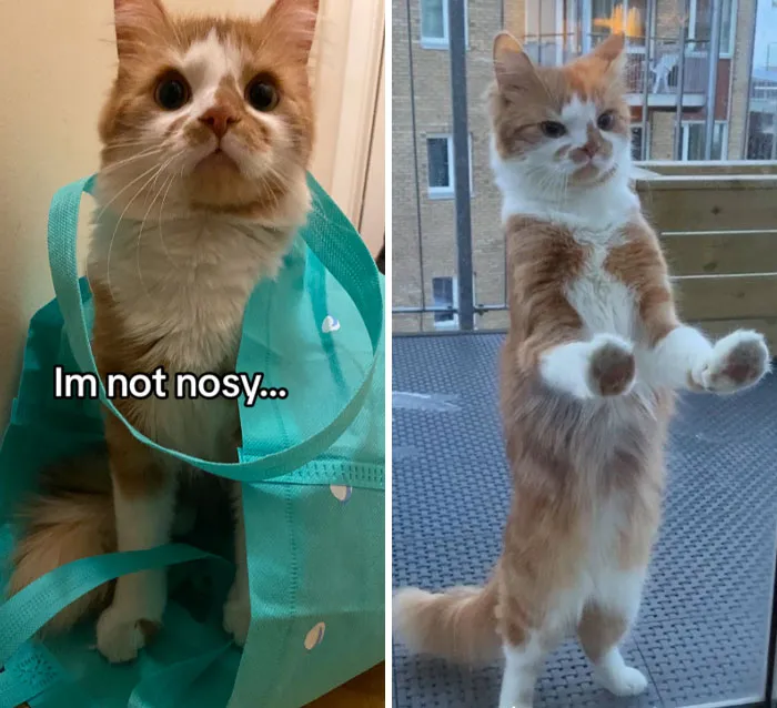 «Что они там делают?»