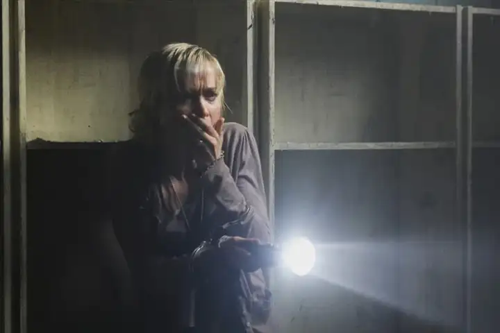 Предыдущая работа Гана народной любви не снискала.