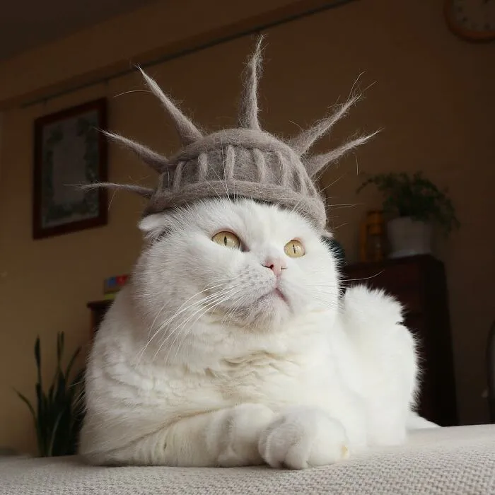 Кошка Свободы.