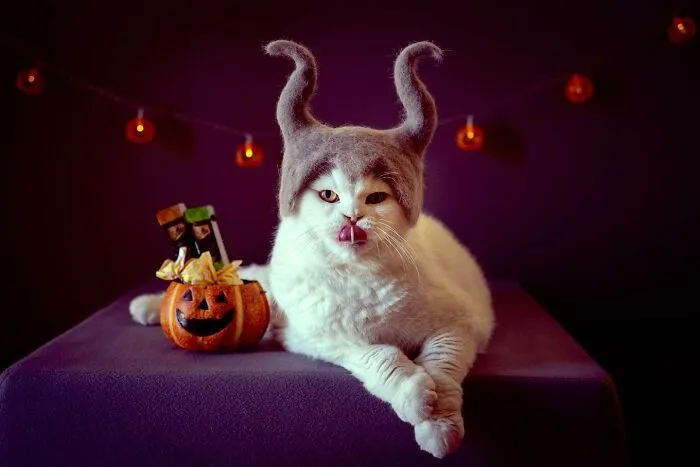 К Хэллоуину готов.