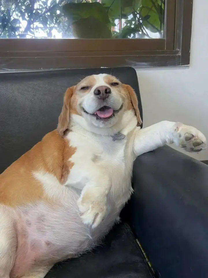 Муту доволен.