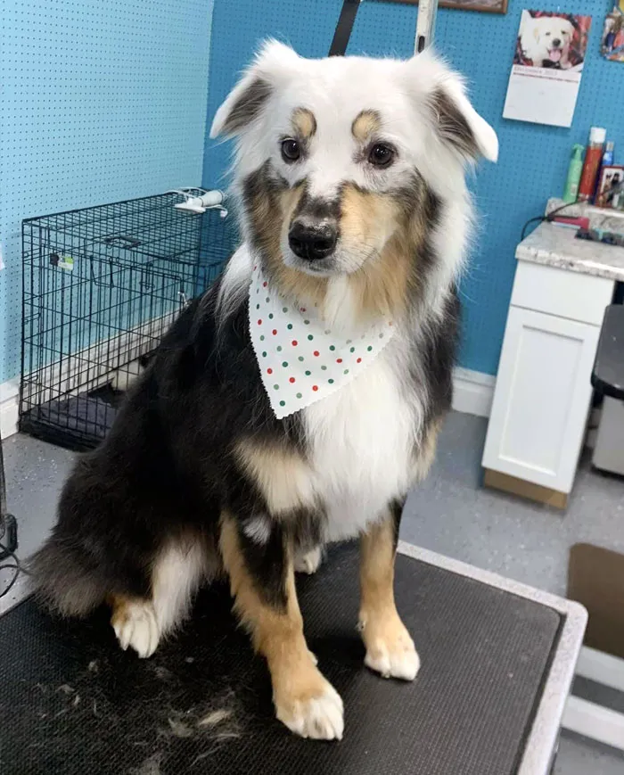 Это Хайди. У нее Витилиго».