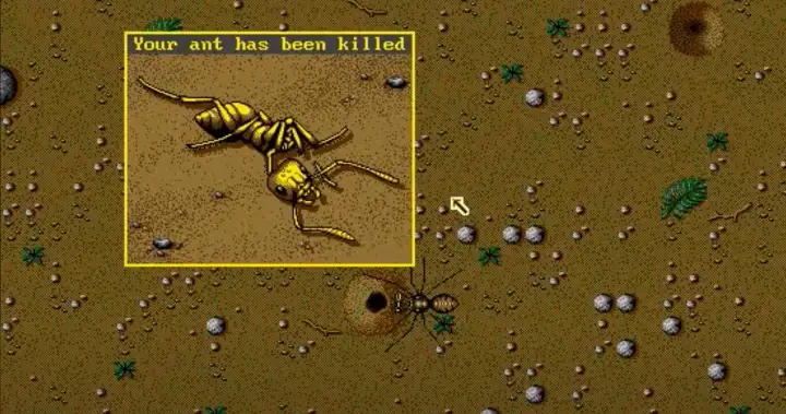 Идея разработать The Sims появилась благодаря симулятору муравьёв.