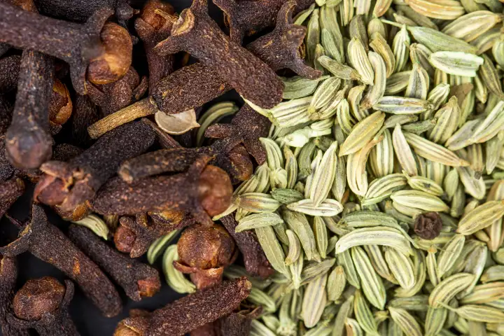 Экстракт кардамона буквально разгоняет иммунную систему.