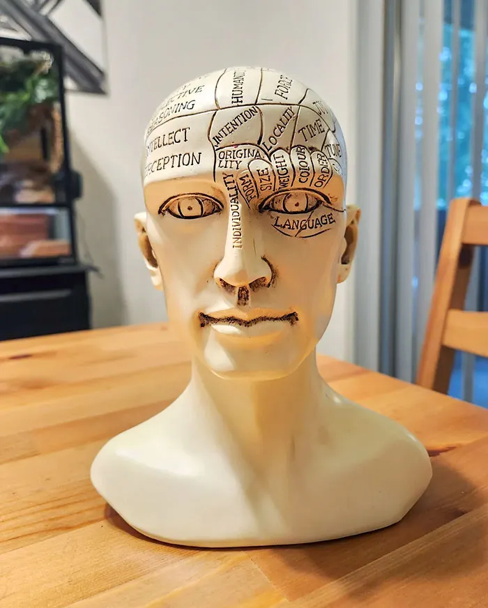 «Завтра мой день рождения, и этот бюст мне только что доставили без указания отправителя».