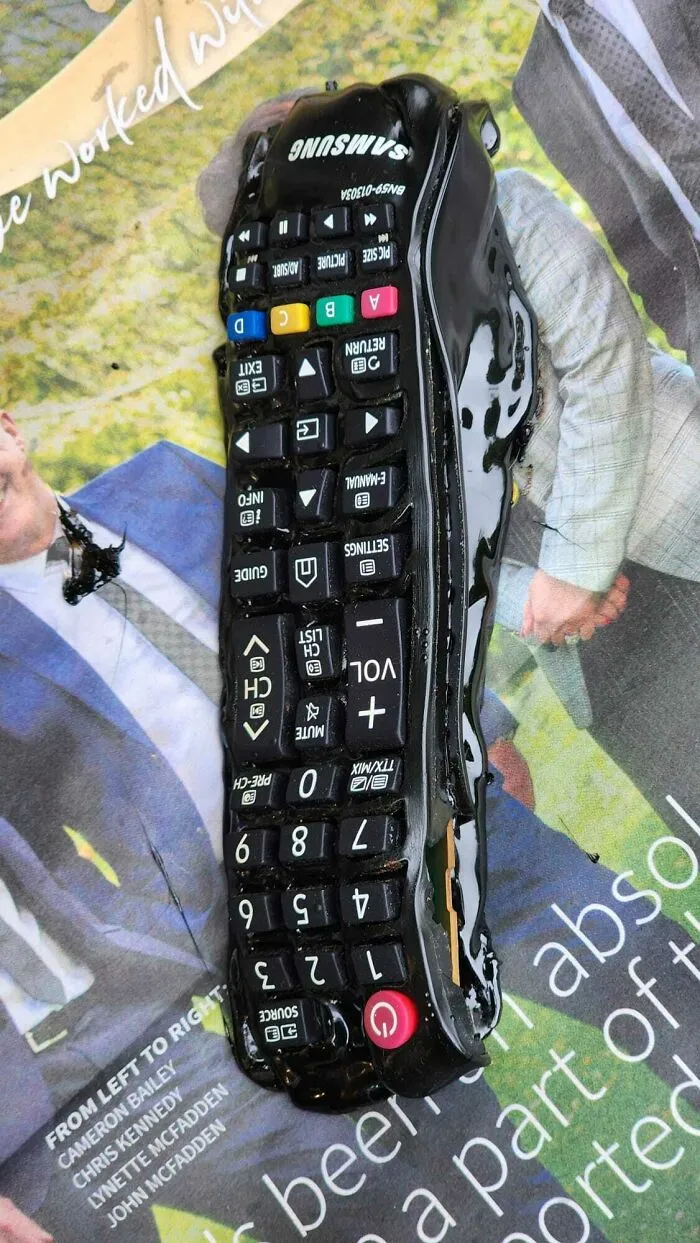 «Дети оставили пульт на обогревателе».