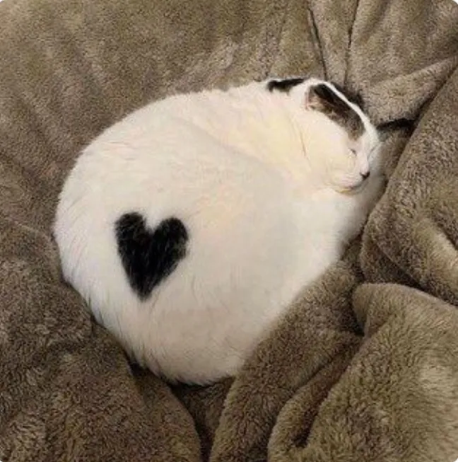 Любовная метка.