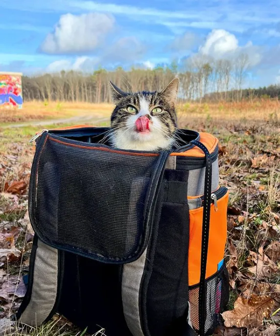 Время путешествий!