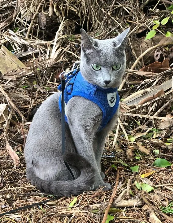 Кажется, она услышала что-то очень интересное.