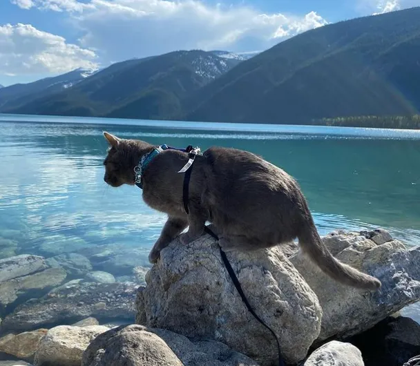 «Наша поездка этим летом! Было так весело!»