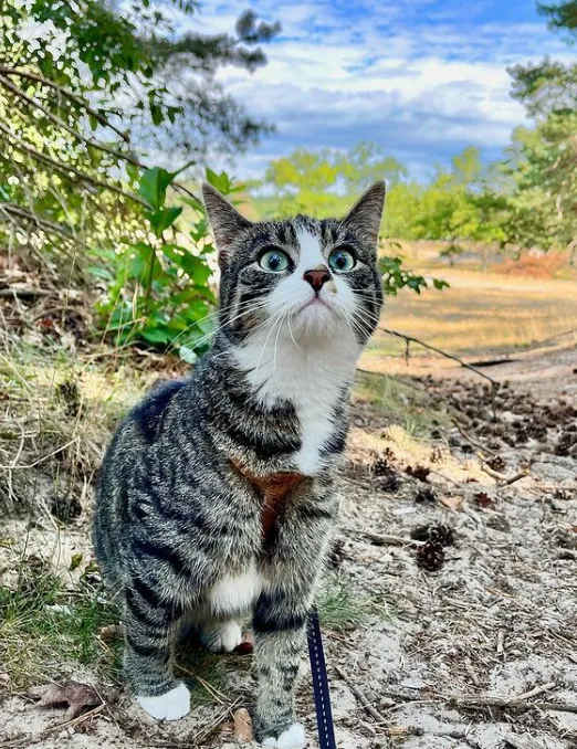 «Мир такой большой и интересный!»