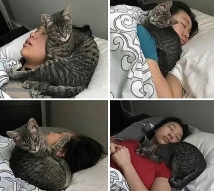 Охраняет сон хозяйки.