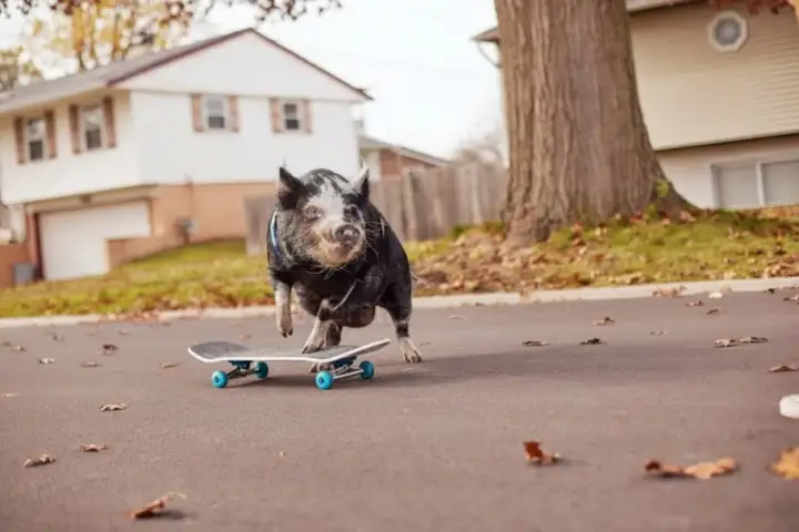Норберт со своей доской.