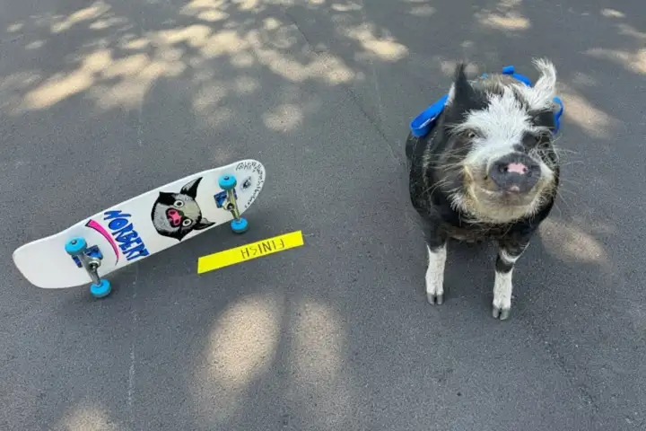 Довольный победитель у финишной полосы.