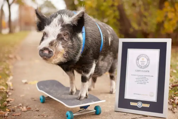 Ему удалось проехать на скейте 10 метров за 11,32 секунды - это официальный рекорд.