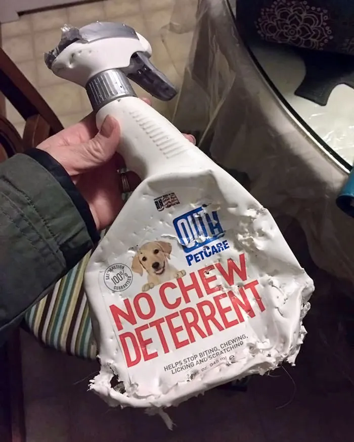 «Очевидно, этот антивандальный спрей не работает. Верните мои деньги».