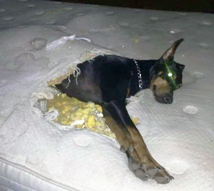 Когда ночуешь у друга, а тебе не дают одеяло.