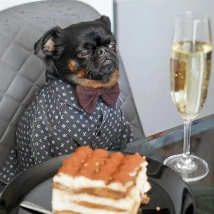 Чарли на празднике, но всё равно недовольный.