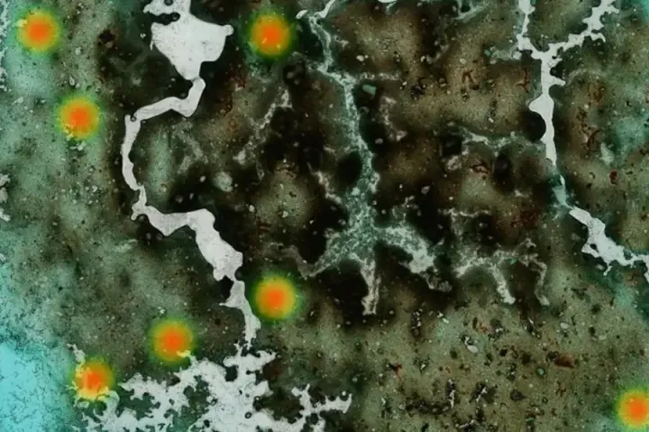 ИИ обнаружил паразитов в образцах быстрее и точнее человеческого специалиста.