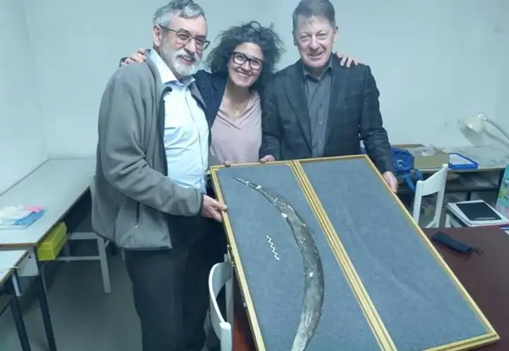 Авторы находки.