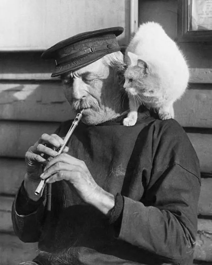 Пушистый помощник уличного музыканта.