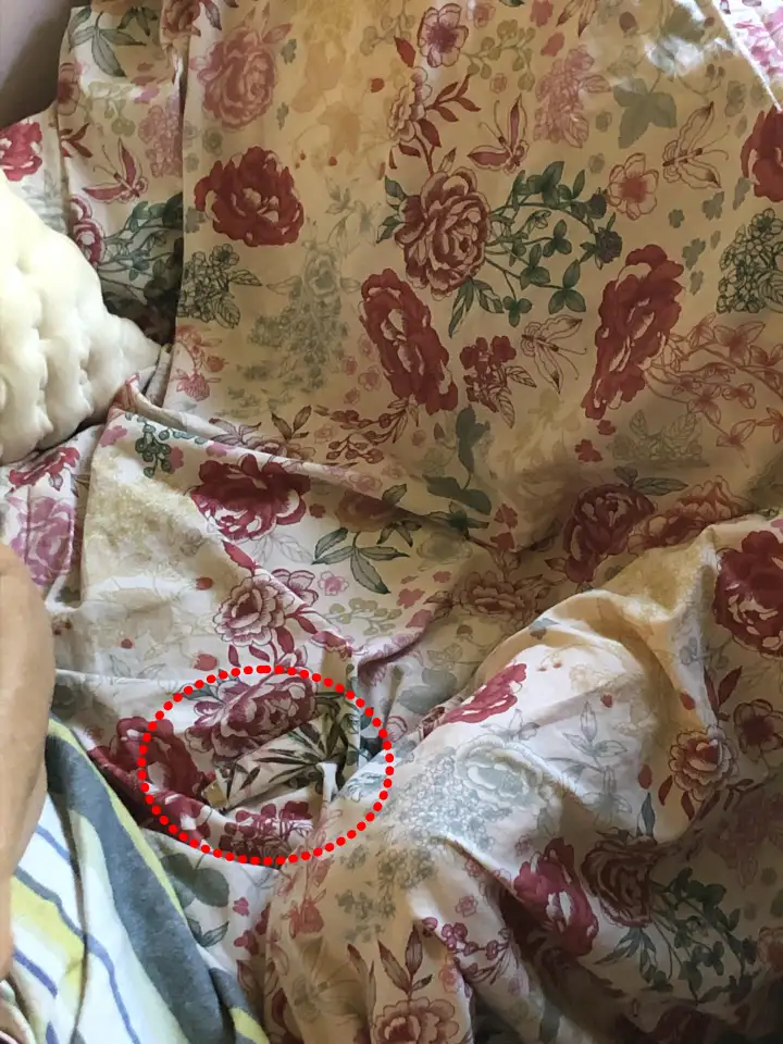 Вот где она спряталась.