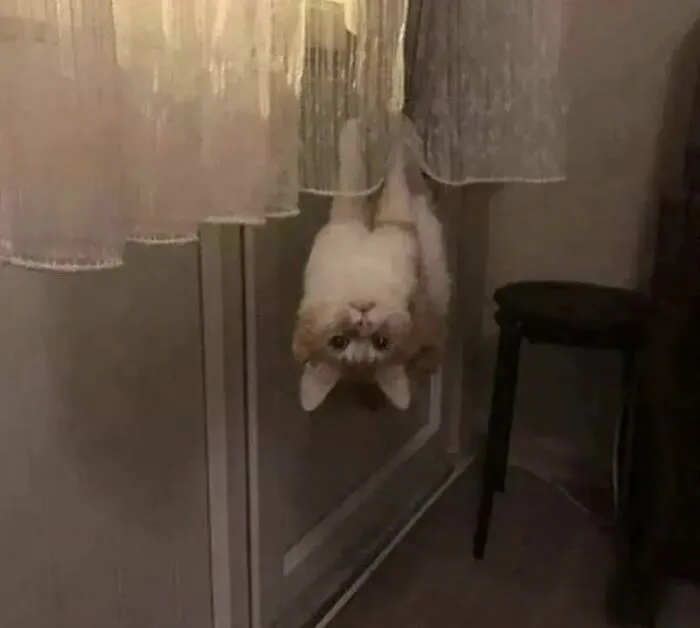 «Дратути. А я вот. Зависаю здесь».