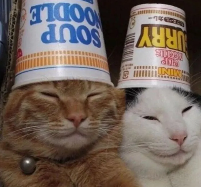 Поймали дзен.