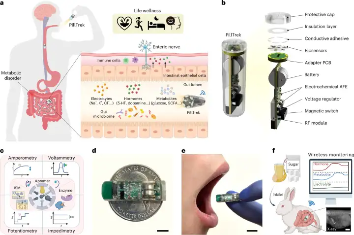 Капсула PillTrek.