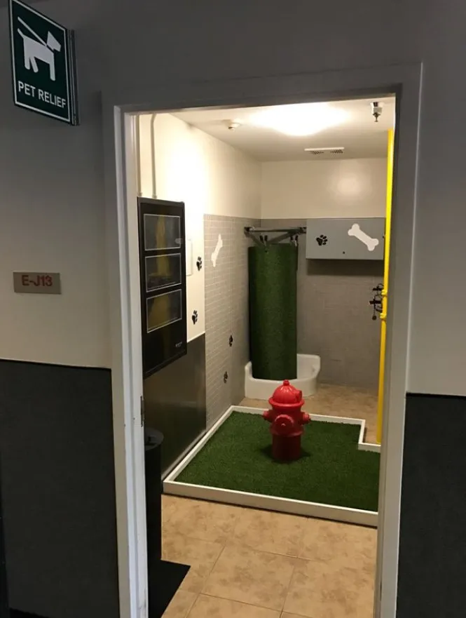 Туалет для собак в аэропорту.